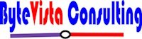 Bytevista Consulting logo 2